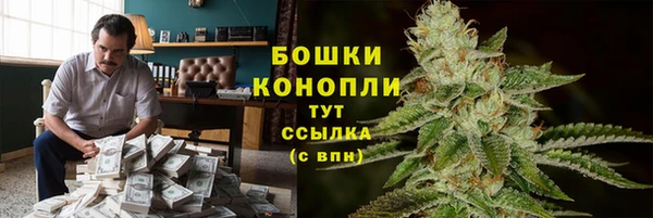 спиды Богородск