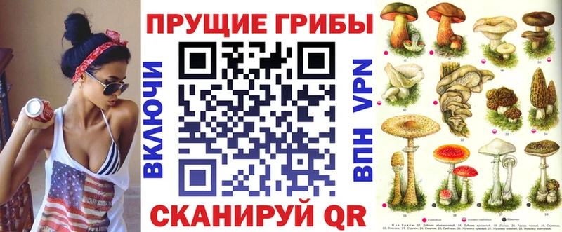 Галлюциногенные грибы мицелий  Купить закладки  Димитровград 